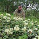  -,   Albertkoltov, 55 ,     , c 