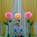 ���������� �����-���������, ���� ������� �������, 48 ���, ������������ ��� ������, ����� � ���������, c�������� ���������