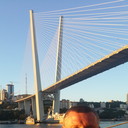 ���������� �����������, ���� ������� ���������, 48 ���, ������������ ��� ������, ����� � ���������, c�������� ���������