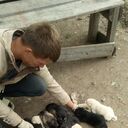  --,   Alexander, 30 ,   ,   , c 