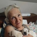 ���������� ����, ���� ������� �����, 67 ���, ������������ ��� c�������� ���������