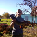 ���������� ������, ���� ������� �����, 42 ����, ������������ ��� ������, ����� � ���������, c�������� ���������