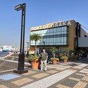  ,   Senior, 46 ,   ,   