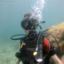 ���������� �����������, ���� ������� ���������, 32 ����, ������������ ��� ������, ����� � ���������