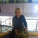 ���������� ����, ���� ������� �������, 60 ���, ������������ ��� ������, ����� � ���������, c�������� ���������