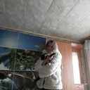  ,   , 54 ,     , c , 