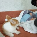 ���������� ������, ���� ������� �������, 26 ���, ������������ ��� ������, ����� � ���������, c�������� ���������, ���������