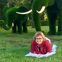 ���������� ��������, ���� ������� ��������, 60 ���, ������������ ��� ������, ����� � ���������