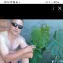  ,   , 55 ,   