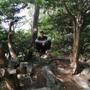  ,   , 41 ,   ,   , c 