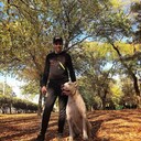  ,   , 33 ,     , c , 