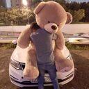 ���������� ������ �����, ���� ������� Ը���, 33 ����, ������������ ��� ������, ����� � ���������