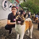 ���������� ������������, ���� ������� Nikita, 34 ����, ������������ ��� ������, ����� � ���������, c�������� ���������