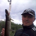  ,   , 54 ,   , 