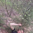 ���������� ��������, ���� ������� ������, 39 ���, ������������ ��� ������, ����� � ���������, c�������� ���������