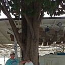 ���������� ����, ���� ������� ����, 37 ���, ������������ ��� ������, ����� � ���������