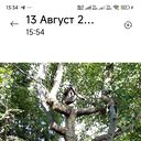  -,   , 66 ,   ,   
