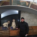  ,   , 37 ,     , c , 