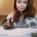  ,   , 29 ,   ,   , 