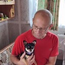  ,   , 66 ,   ,   