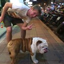 ���������� ������, ���� ������� �����, 36 ���, ������������ ��� ������, ����� � ���������