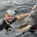 ���������� ������, ���� ������� ��������, 37 ���, ������������ ��� ������, ����� � ���������, c�������� ���������