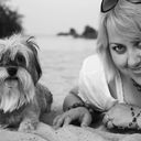 ���������� ��������, ���� ������� Koshka, 51 ���, ������������ ��� ����� � ���������, c�������� ���������