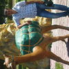  ,   Spartak, 35 ,   