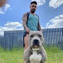 ���������� ������, ���� ������� �����, 41 ���, ������������ ��� ������, ����� � ���������, ���������