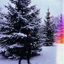 ���������� �����-���������, ���� ������� ����, 33 ����, ������������ ��� ������, ����� � ���������, c�������� ���������