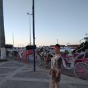 ���������� ������, ���� ������� �������, 53 ����, ������������ ��� ������, ����� � ���������, c�������� ���������