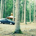 ���������� �������, ���� ������� Avto, 42 ����, ������������ ��� ������, ����� � ���������, c�������� ���������, ���������