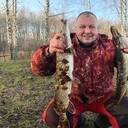 ���������� �������, ���� ������� �������, 47 ���, ������������ ��� ������, ����� � ���������, c�������� ���������