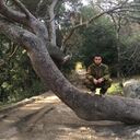 ���������� ������, ���� ������� �������, 29 ���, ������������ ��� ������, ����� � ���������