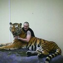 ���������� ������, ���� ������� �����, 43 ����, ������������ 