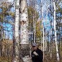 ���������� �����������-��-�����, ���� ������� ����, 37 ���, ������������ ��� c�������� ���������