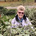 ���������� ���������, ���� ������� �������, 67 ���, ������������ ��� ������, ����� � ���������