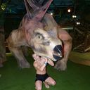 ���������� ����, ���� ������� ��������, 31 ���, ������������ ��� ������