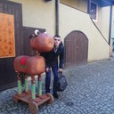 ���������� �����, ���� ������� �������, 36 ���, ������������ ��� ������, ���������