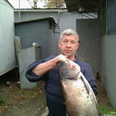  ,   , 61 ,     , c 