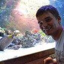 ���������� ����������, ���� ������� ���, 36 ���, ������������ ��� ������, ����� � ���������, c�������� ���������