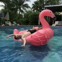  ,   , 29 ,   ,   , c , 