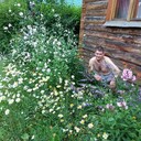 ���������� ������������, ���� ������� ������, 36 ���, ������������ ��� ������, ����� � ���������, c�������� ���������, ���������