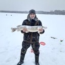 ���������� �������, ���� ������� ������, 43 ����, ������������ ��� ������, ����� � ���������