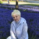 ���������� �����, ���� ������� �����, 56 ���, ������������ ��� c�������� ���������