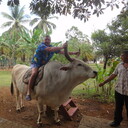 ���������� ������, ���� ������� ������, 55 ���, ������������ ��� ������, ����� � ���������, ���������