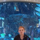 ���������� ������, ���� ������� ����, 29 ���, ������������ ��� ������, ����� � ���������, c�������� ���������