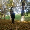 ���������� ����, ���� ������� �������, 43 ����, ������������ ��� ������, ����� � ���������, c�������� ���������, ���������