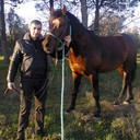  ,   , 43 ,   ,   , c , 