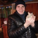 ���������� �����, ���� ������� ����, 31 ���, ������������ ��� ������, ����� � ���������, c�������� ���������, ���������